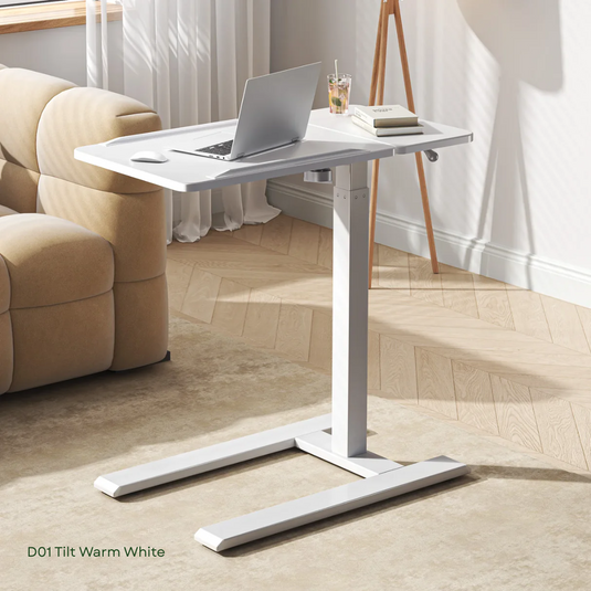 SIHOO D01 Multifunctional Sit-Stand Ergonomic Desk