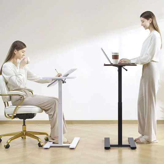 SIHOO D01 Multifunctional Sit-Stand Ergonomic Desk