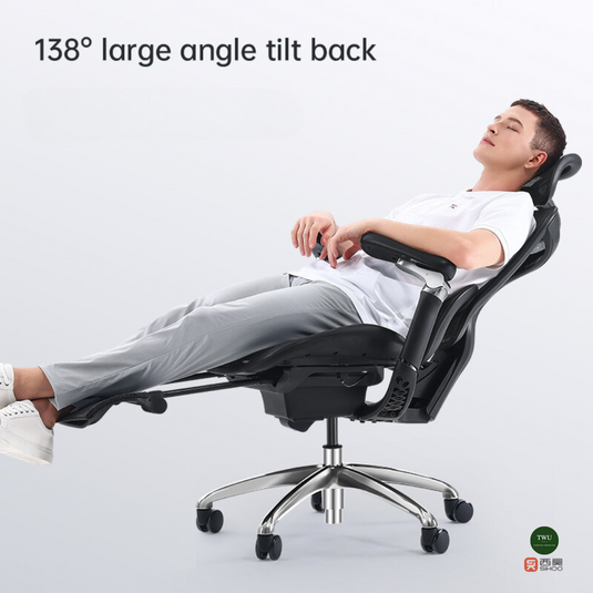 SIHOO DORO C300 (A3) Ergonomic Executive Office Chair