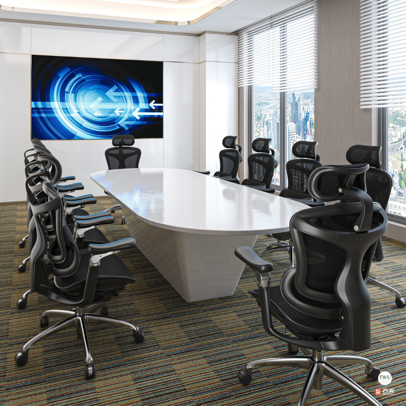 Load image into Gallery viewer, SIHOO DORO C300 (A3) Ergonomic Executive Office Chair
