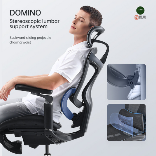 SIHOO DORO C300 (A3) Ergonomic Executive Office Chair