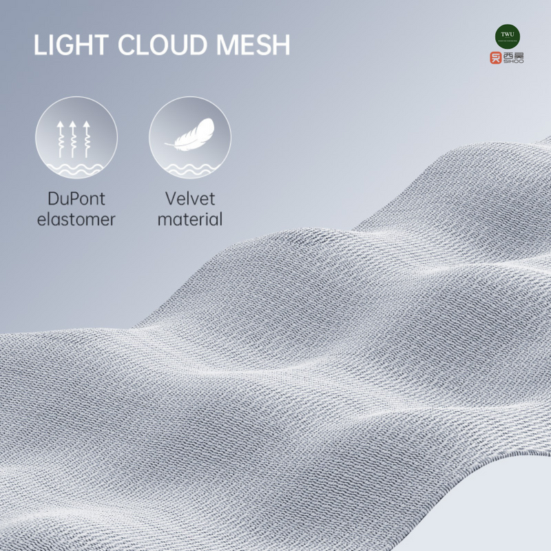 Load image into Gallery viewer, SIHOO DORO S300 (AU) Ergonomic Executive Office Chair with Built-in Footrest
