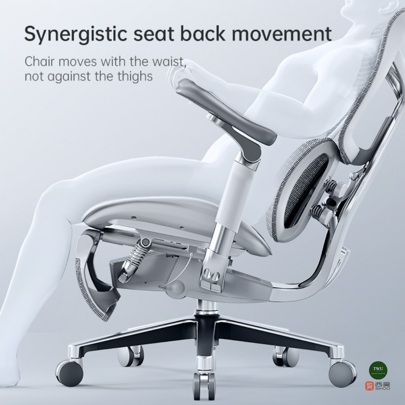 Load image into Gallery viewer, SIHOO DORO S300 (AU) Ergonomic Executive Office Chair with Built-in Footrest
