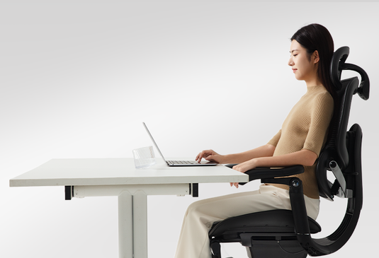 Sihoo Doro C300 PRO V2 Ergonomic Chair
