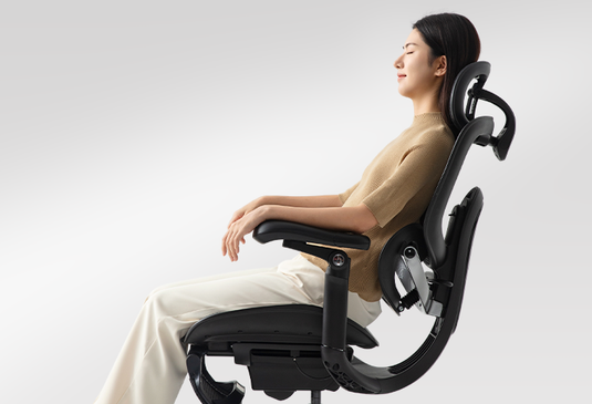 Sihoo Doro C300 PRO V2 Ergonomic Chair