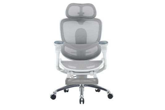 Sihoo Doro C300 PRO V2 Ergonomic Chair