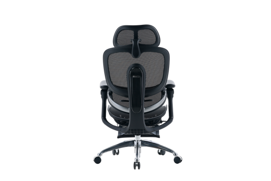 Sihoo Doro C300 PRO V2 Ergonomic Chair