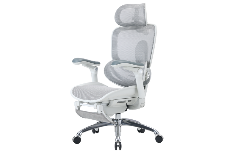 Load image into Gallery viewer, Sihoo Doro C300 PRO V2 Ergonomic Chair
