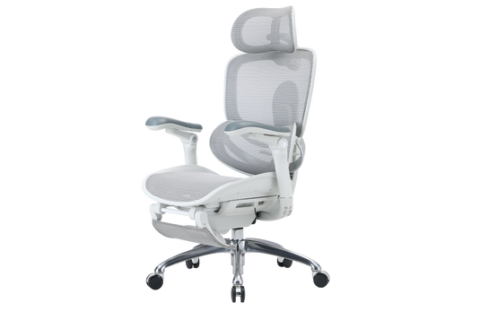 Sihoo Doro C300 PRO V2 Ergonomic Chair