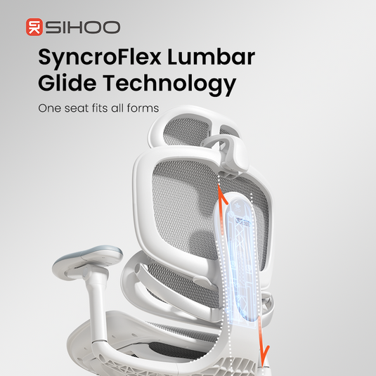 Sihoo Doro C300 PRO V2 Ergonomic Chair