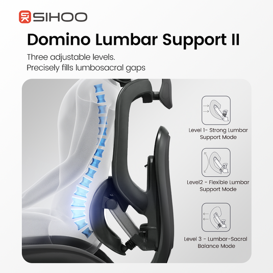 Sihoo Doro C300 PRO V2 Ergonomic Chair