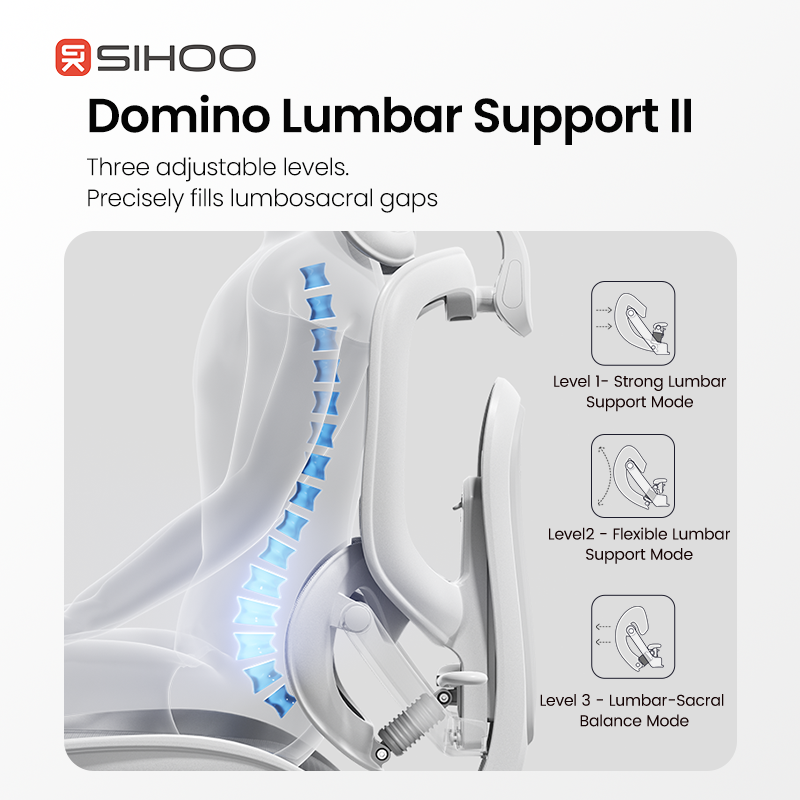 Load image into Gallery viewer, Sihoo Doro C300 PRO V2 Ergonomic Chair
