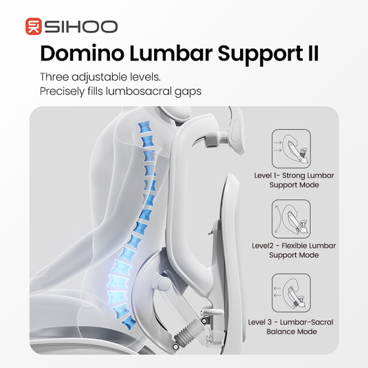 Sihoo Doro C300 PRO V2 Ergonomic Chair