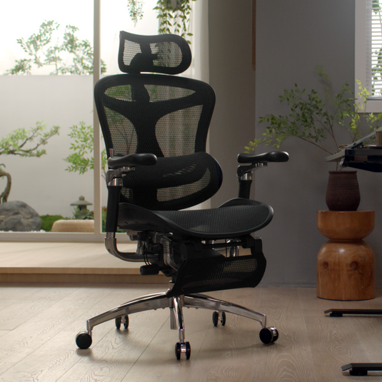 SIHOO Doro C500 Ergonomic Executive Office Chair