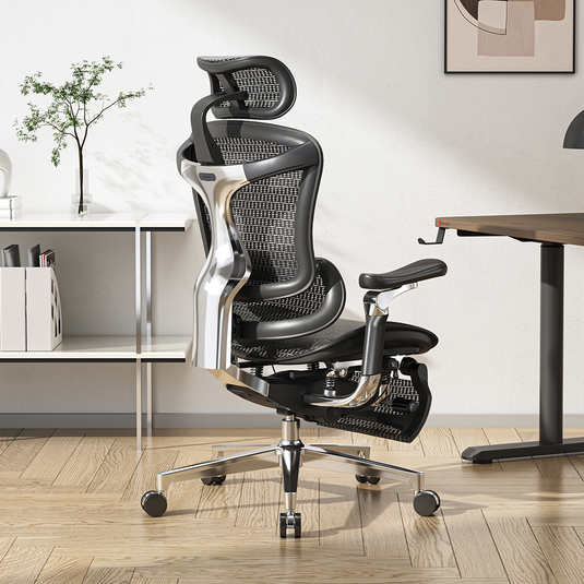 SIHOO Doro C500 Ergonomic Executive Office Chair