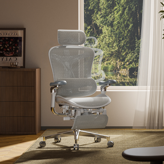 SIHOO Doro C500 Ergonomic Executive Office Chair