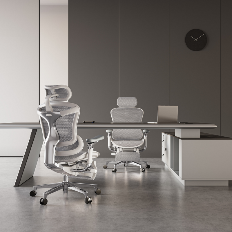 Load image into Gallery viewer, SIHOO Doro C500 Ergonomic Executive Office Chair
