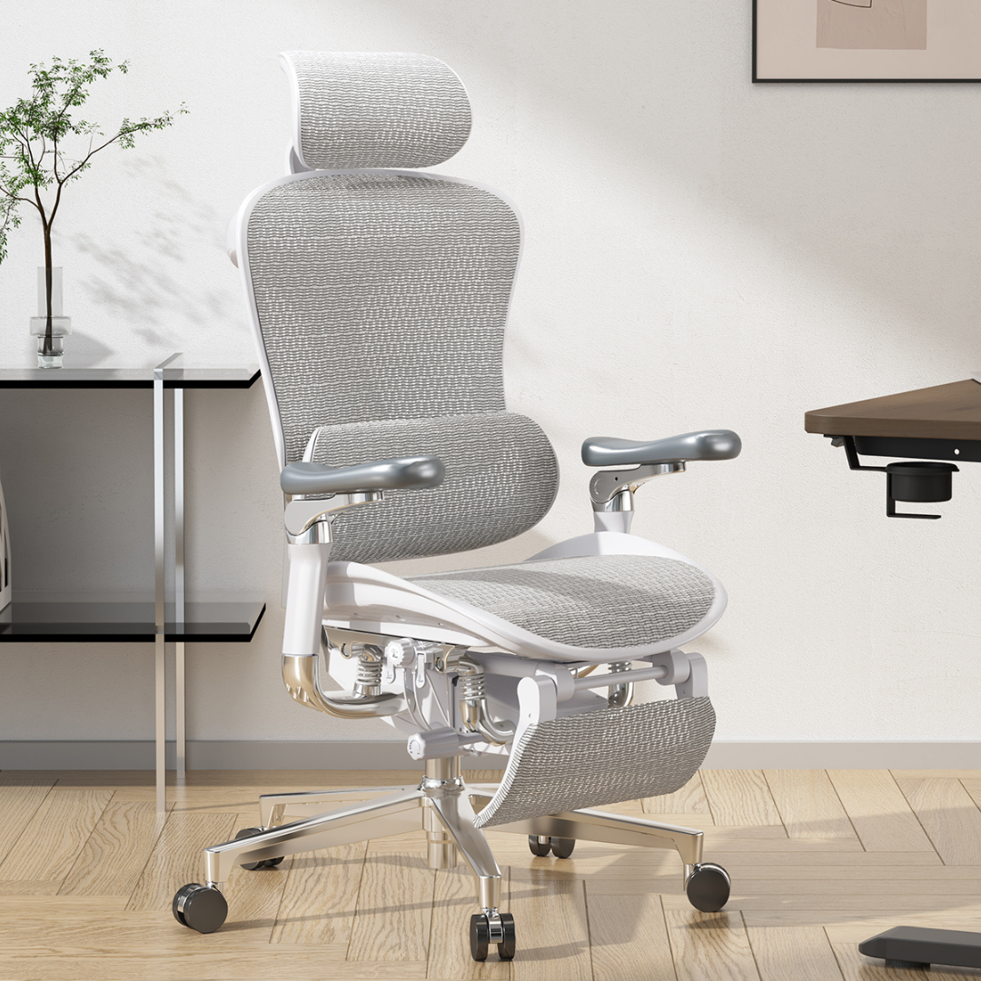 SIHOO Doro C500 Ergonomic Executive Office Chair