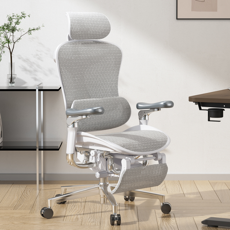 Load image into Gallery viewer, SIHOO Doro C500 Ergonomic Executive Office Chair
