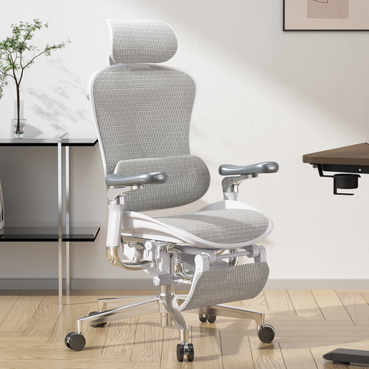 SIHOO Doro C500 Ergonomic Executive Office Chair