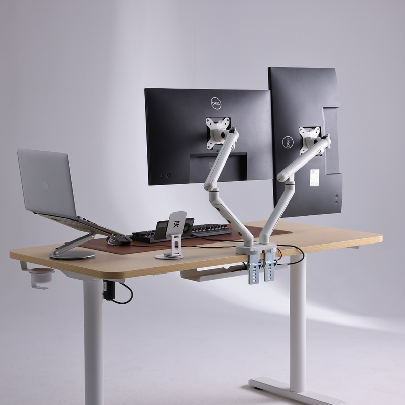 Load image into Gallery viewer, SIHOO Ergonomic Monitor Arm
