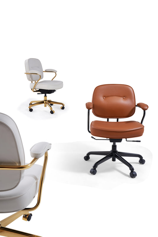 SIHOO L3D Luxury Accent Ergonomic Office Chair