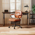 SIHOO L3D Luxury Accent Ergonomic Office Chair