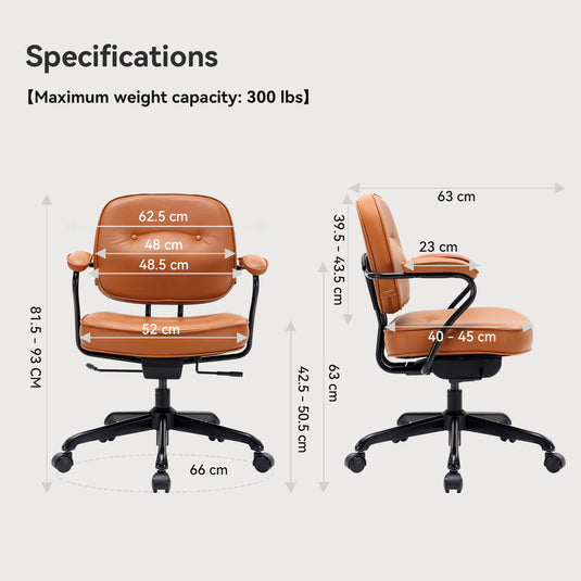 SIHOO L3D Luxury Accent Ergonomic Office Chair