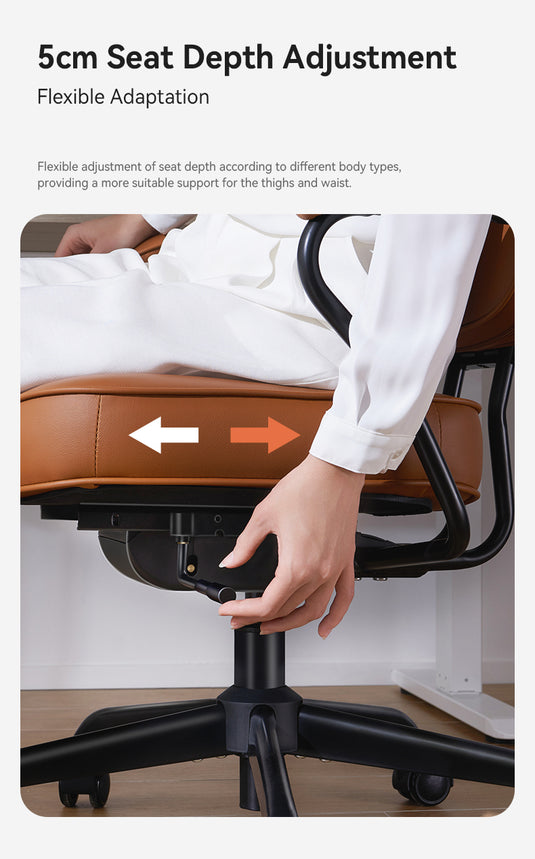 SIHOO L3D Luxury Accent Ergonomic Office Chair