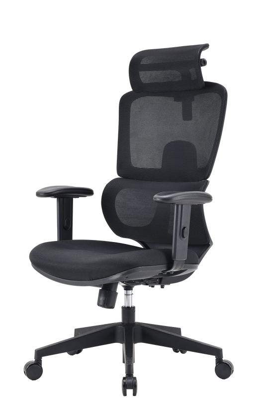 SIHOO M105C Ergonomic Office Chair