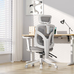 Gray Sihoo M56 Pro ergonomic office chair in a modern office setting with a desk and window.