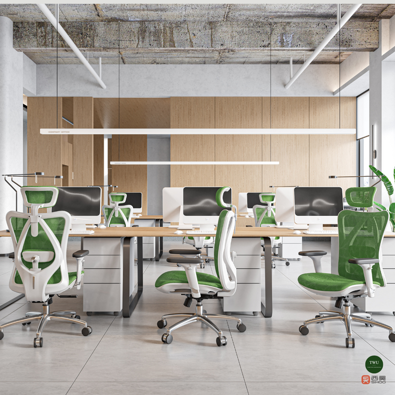 Load image into Gallery viewer, SIHOO M57 Limited Edition Ergonomic Office Chair (without footrest)
