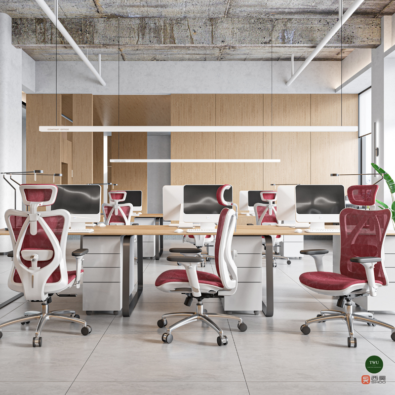 Load image into Gallery viewer, SIHOO M57 Limited Edition Ergonomic Office Chair (without footrest)
