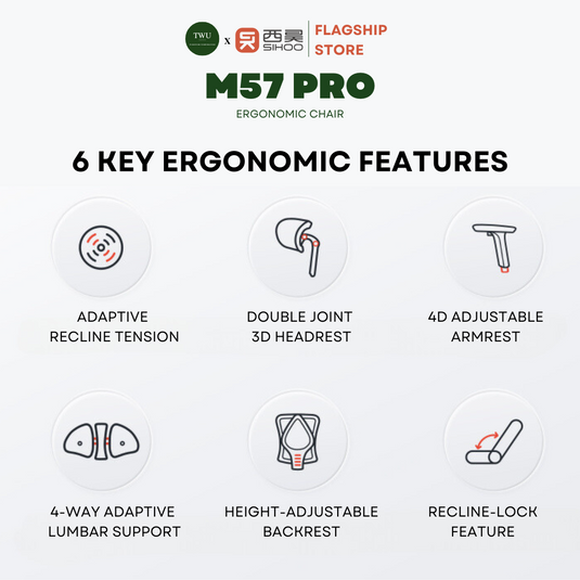 SIHOO M57 PRO Ergonomic Office Chair