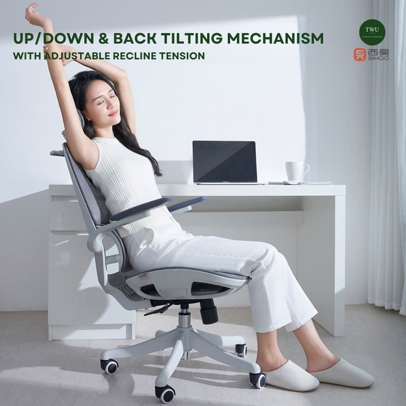 Load image into Gallery viewer, SIHOO M59 PRO Ergonomic Office Chair
