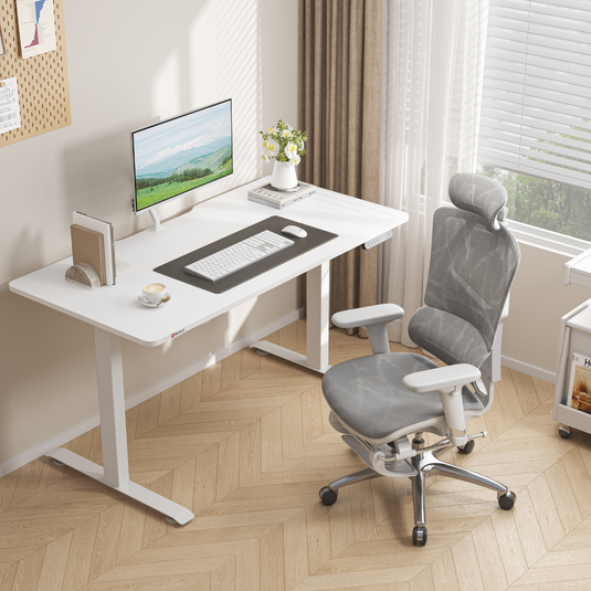 Sihoo D03 Electric Height Adjustable Standing Desk