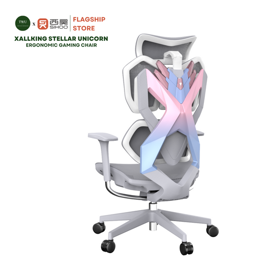 Xallking X5C Ergonomic Gaming Chair