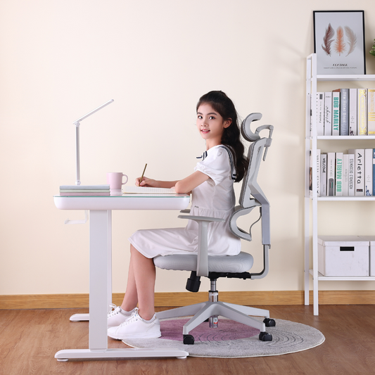 Sihoo M91D Ergonomic Chair