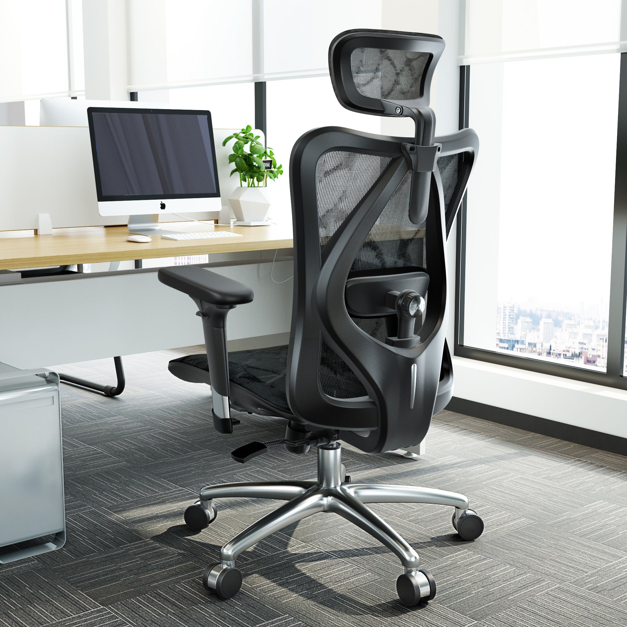 Sihoo M57 Classic Ergonomic Office Chair in Black, Back view