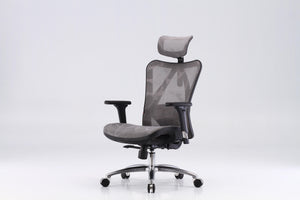 Sihoo M57 Classic Ergonomic Office Chair in Grey White, angled view
