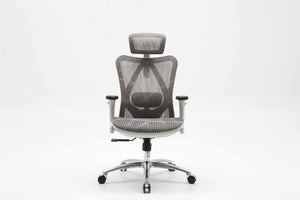 Sihoo M57 Classic Ergonomic Office Chair in Grey White