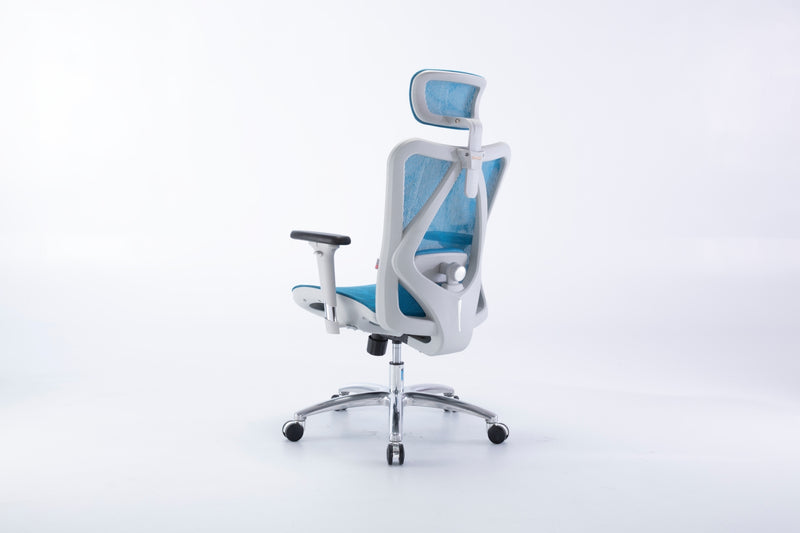 Load image into Gallery viewer, SIHOO M57 Limited Edition Ergonomic Office Chair (without footrest)
