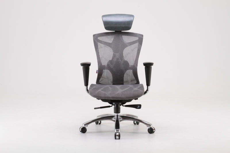 Load image into Gallery viewer, SIHOO V1 Classic Ergonomic Office Chair (without footrest)
