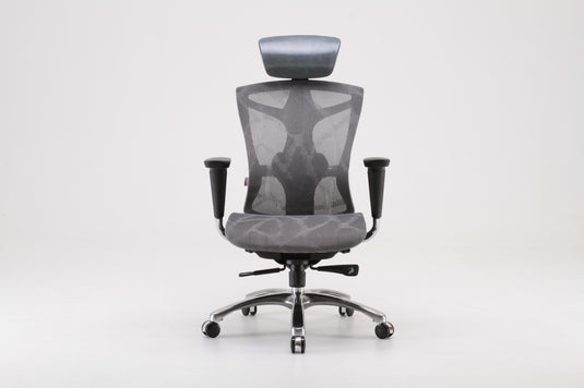 SIHOO V1 Classic Ergonomic Office Chair (without footrest)