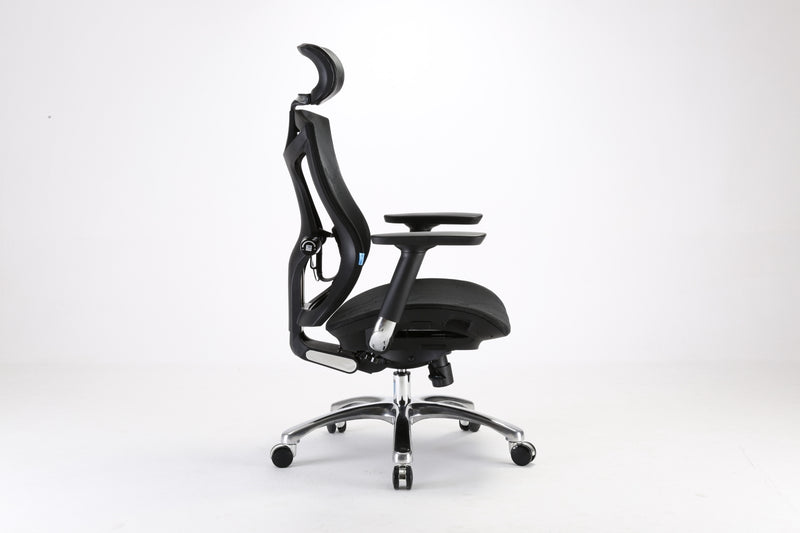 Load image into Gallery viewer, SIHOO V1 Classic Ergonomic Office Chair (without footrest)
