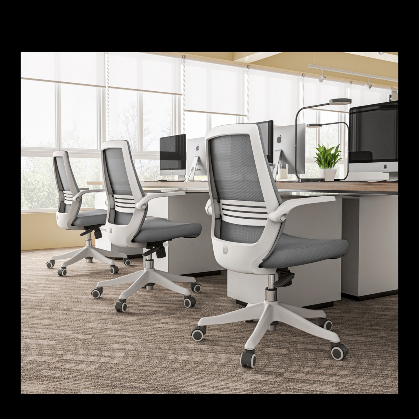 Sihoo M76 Ergonomic Chair